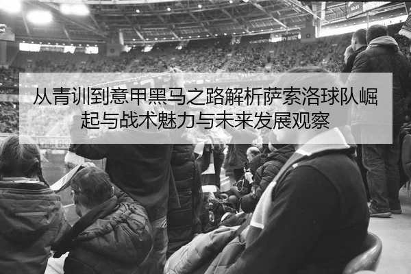 从青训到意甲黑马之路解析萨索洛球队崛起与战术魅力与未来发展观察