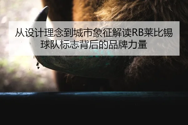 cong-she-ji-li-nian-dao-cheng-shi-xiang-zheng-jie-du-lai-bi-xi-qiu-dui-biao-zhi-bei-hou-de-pin-pai-li-liang-2-334.jpg