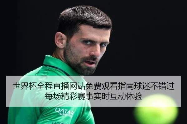 世界杯全程直播网站免费观看指南球迷不错过每场精彩赛事实时互动体验